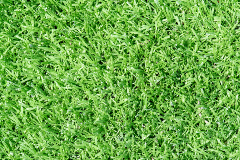 Why Artificial Turf is the Best Choice for Your Woodland Hills Home