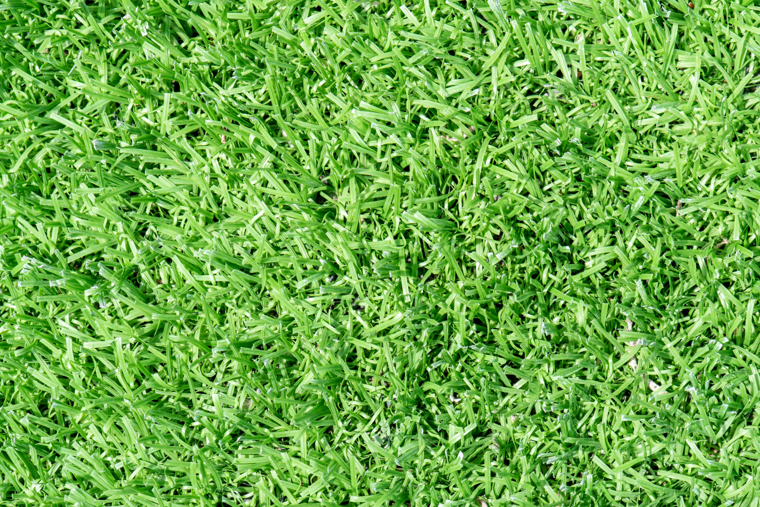 Why Artificial Turf is the Best Choice for Your Woodland Hills Home