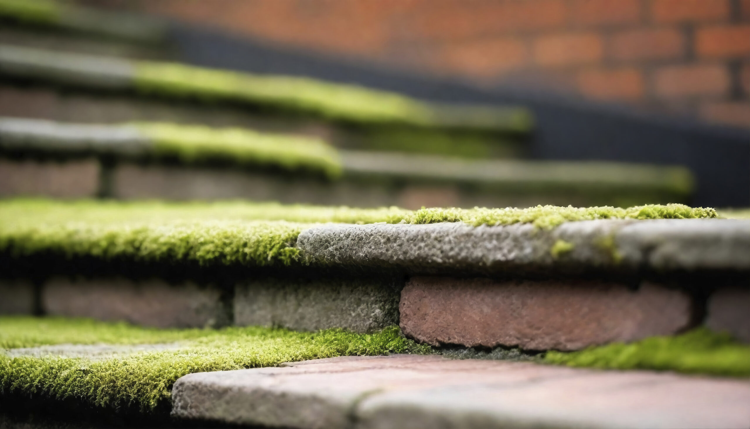 Can You Install Artificial Turf Over Concrete? Yes, and Here’s How!