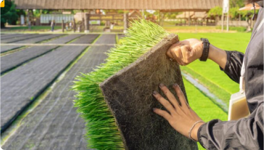Step 4 - Turf Installation