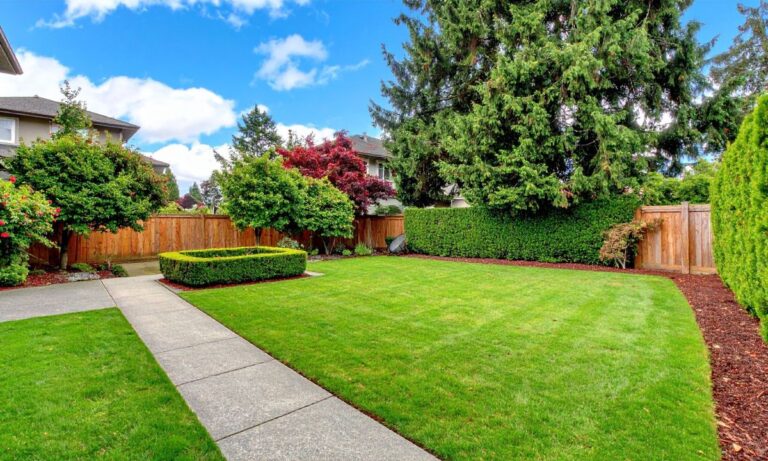 From Design to Installation: What to Expect When You Hire a Professional Landscaping Team