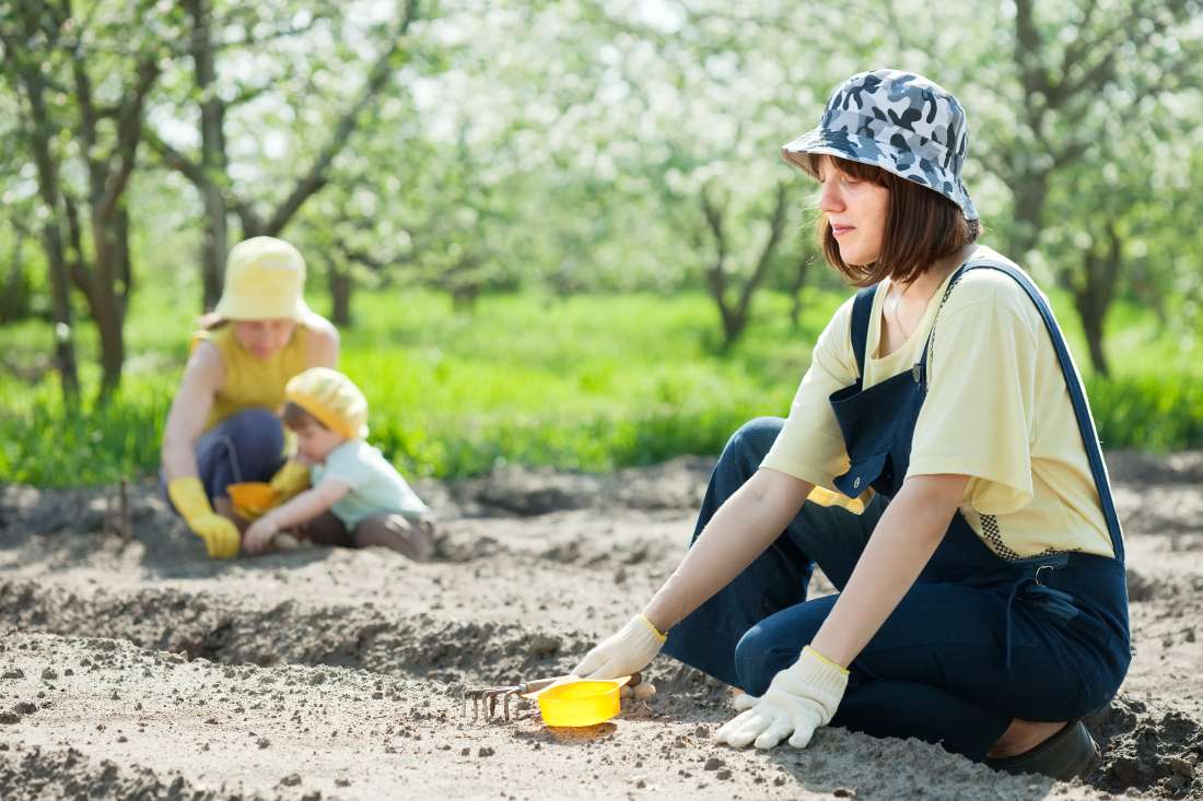 Soil Health 101: How to Prepare Your Yard for Long-Lasting Landscaping Success
